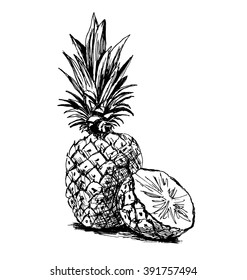 Hand sketch pineapple