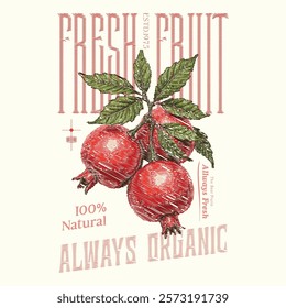 Hand sketch Pomegranate fruit artwork, Summer food poster design. Nature fruit club print design, Fresh pomegranate fruit print, Organic food artwork for for t-shirt, Fruit vintage t-shirt design