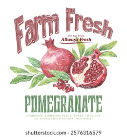 Hand sketch Pomegranate fruit artwork, Summer food poster design. Nature fruit club print design, Fresh pomegranate fruit print, Organic food artwork for for t-shirt, Fruit vintage t-shirt design