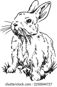 Hand sketch of a rabbit. Vector illustration.