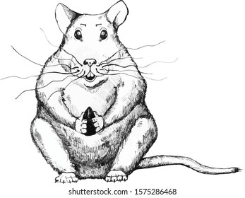 Hand sketch rat, mouse. The rat sits and holds the seed in his paws. Rodent for the festive poster for printing.