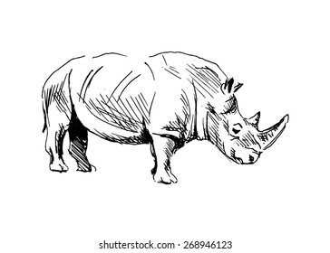 hand sketch rhino