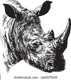Hand sketch rhino head. Vector illustration