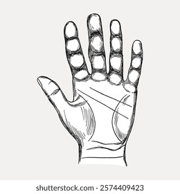 Hand sketch showing detailed palm lines. The hand sketch highlights intricate details. This hand sketch is perfect for art studies and design inspiration. Vintage child illustration isolated, vector.