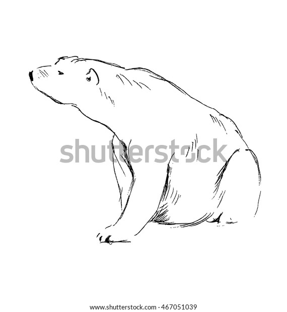 Hand Sketch Sitting Polar Bear Vector Stock Vector (Royalty Free) 467051039