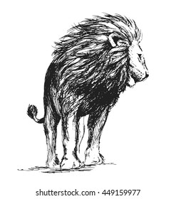 Hand sketch standing lion. Vector illustration