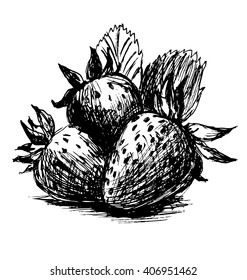 Hand sketch strawberries