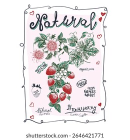 Hand sketch Strawberry graphics. hand writing slogan font. vintage line drawing graphics in vector. women's girls top t shirt design. summer fruit art illustration. fruit print doodle graphics
