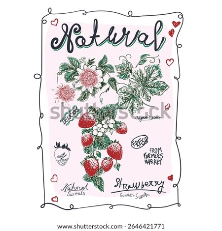 Hand sketch Strawberry graphics. hand writing slogan font. vintage line drawing graphics in vector. women's girls top t shirt design. summer fruit art illustration. fruit print doodle graphics