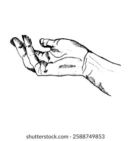 Hand in sketch style. Palm vector illustration. Human gesture. 