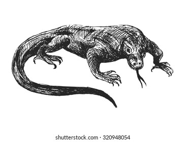 hand sketch varan