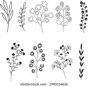 Hand sketch vector flower vintage elements vector illustration.