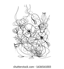 Hand sketch. Vector line. Black and white abstraction. Silhouettes Poppies