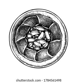 Hand Sketched Apple Pie Illustration. Autumn Food Hand Drawing. Traditional Thanksgiving Apple Cake With Cranberries Top View.  Vector Crostata Isolated On White Background. Top View Outline