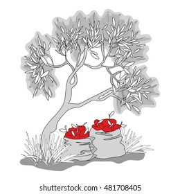 Hand Sketched Apple Tree. Vector Illustration, eps 8