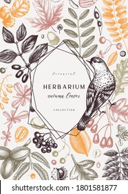 Hand sketched autumn card design in color. Elegant botanical template with autumn leaves, berries, seeds and bird sketches. Perfect for invitation, cards, flyers, menu, label, packaging. 
