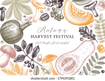 Hand sketched autumn design in color. Elegant and trendy botanical template with autumn leaves, pumpkins, berries, mushrooms, nuts drawings. Vintage plants template. Autumn food background.