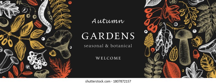 Hand sketched autumn design in color. Elegant and trendy botanical template with autumn leaves, pumpkins, berries, mushrooms, nuts drawings. Vintage plants template. Autumn food background.