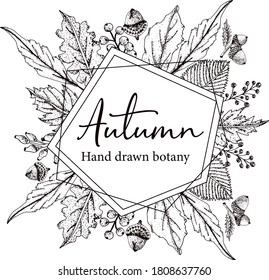 Hand sketched autumn design. Elegant and trendy botanical template with autumn leaves, and nuts drawings. Vintage plants template. Autumn food background.