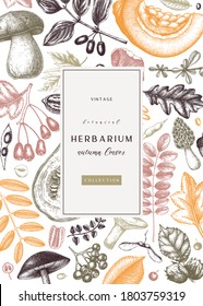 Hand sketched autumn greeting card or invitation design in color. Elegant botanical template with autumn leaves, berries, seeds, nuts, mushroom sketches. Perfect for flyers, menu, label, packaging. 