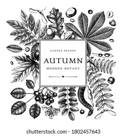 Hand sketched autumn leaves design. Elegant botanical template with autumn leaves, berries, seeds, forest plants sketches. Perfect for invitation, greeting cards, flyers, menu, label, packaging. 