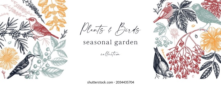 Hand sketched autumn plants and birds design in color. Trendy botanical template with autumn leaves, berries, flowers and bird sketches. Perfect for elegant web, branding, packaging, wedding 