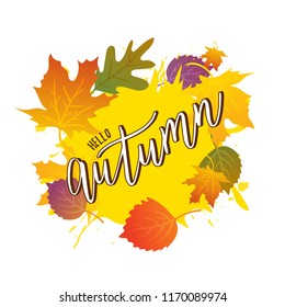 Hand sketched Autumn text. Lettering typography. Vector illustration as poster, postcard, greeting card, invitation template. Concept September advertising