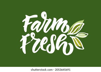 Hand sketched badges and labels with vegetarian, vegan, raw, eco, bio, natural, fresh, gluten and GMO free food diet design. Organic food elements set for product, cafe, restaurant and organic product