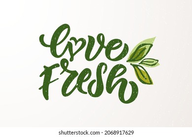 Hand sketched badges and labels with vegetarian, vegan, raw, eco, bio, natural, fresh, gluten and GMO free food diet design. Organic food elements set for product, cafe, restaurant and organic product