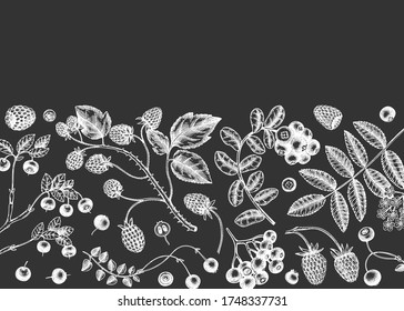 Hand sketched berries design on chalkboard. Summer forest background. Perfect for recipe, menu, label, tea or jam packaging. Vintage berries template. Healthy food elements. Botanical illustration