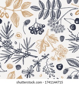 Hand sketched berries seamless pattern. Summer forest trendy background. Perfect for recipe, menu, label, cloth,  packaging. Vintage berries and flowers. Healthy food backdrop. Botanical illustration