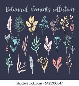 Hand sketched botanical vector vintage elements - laurels, leaves, flowers. Perfect for invitations, greeting cards, quotes, blogs, Wedding Frames, posters - Vector