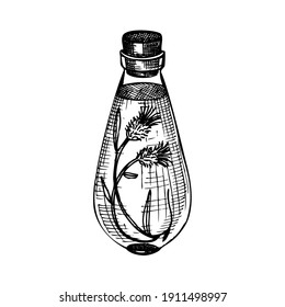 Hand sketched bottle with flower extract in vintage style. Glassware hand drawing for cosmetics or perfume. Alchemy laboratory equipment sketch. Magic, witchcraft, and mysticism glassware illustration