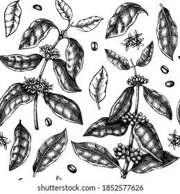 Hand sketched coffee plant seamless pattern in vintage style. Vector background with hand-drawn leaves, flowers, beans, and fruit illustrations. For menu packaging, wrapping paper, brands, fabrics.