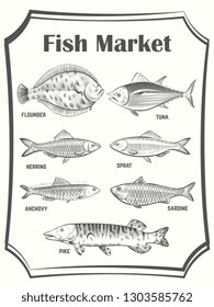 Hand sketched different fish vector poster template. Fish Market banner