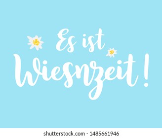 Hand sketched Es ist Wiesnzeit quote in German with Edelweiss flowers. Meaning It´s Oktoberfest time. Isolated on blue background. Drawn Wiesn lettering typography,  vector illustration.