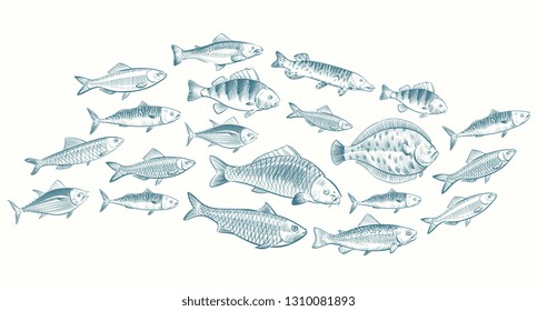 Hand sketched fish vector illustration. Underwater life banner for restaurant menu