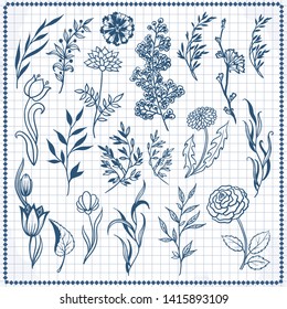 Hand sketched floral design elements, flowers and leaves for text decoration