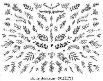 Hand sketched floral design elements, flowers and leaves for text decoration