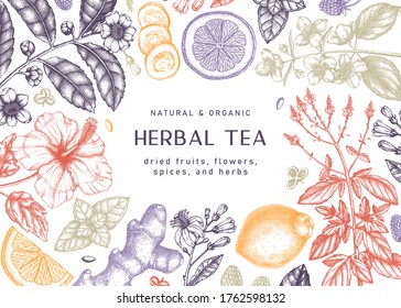 Hand sketched herbal tea ingredients banner. Vintage herbs, leaves, flowers, fruits hand drawings background. Perfect for recipe, menu, label, packaging. Herbal tea template.  Botanical illustration.