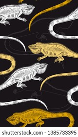 Hand sketched Iguana background. Vector animal  seamless pattern. Reptiles outline. Black and white lizard sketch. Perfect for banner design, textile or wrapping papper. 