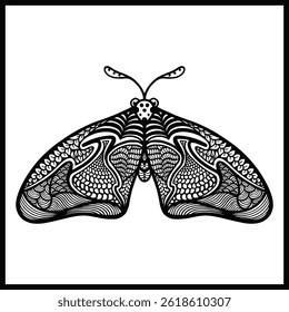 a hand sketched illustration of a single butterfly