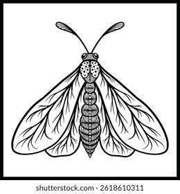 a hand sketched illustration of a single butterfly