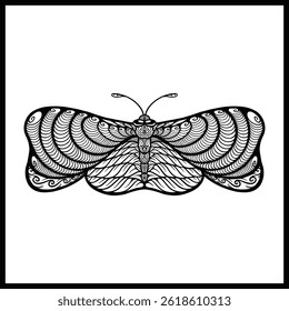 a hand sketched illustration of a single butterfly