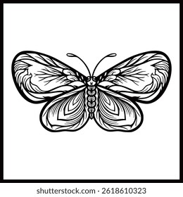 a hand sketched illustration of a single butterfly