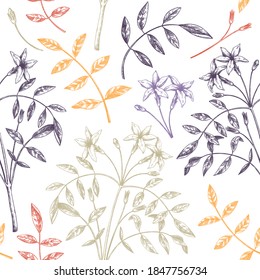 Hand sketched Jasmine seamless pattern in color. Botanical illustration with leaves and flowers. White Jasmine backdrop. Hand-drawn flowering plant background. Tea ingredients