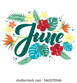 Hand sketched lettering “June” with green tropical leaves, plumeria, hibiscus and other flowers as summer illustration for calendar page, website, postcard, promotional material. Colorful EPS10 vector