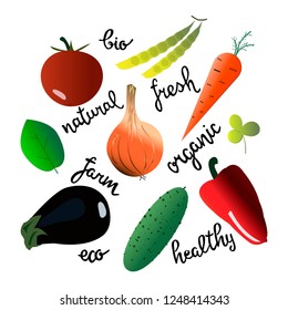Hand sketched lettering with vegetable elements set for farmers market, organic food, grocery store, cafe, restaurant, food. Natural product, vegetarian, fresh, natural, design. Banner, flyer, poster