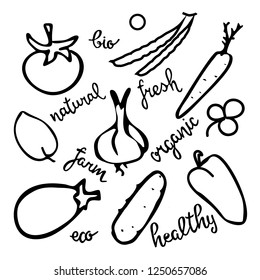 Hand sketched lettering with vegetable elements set for farmers market, organic food, grocery store, cafe, restaurant, food. Natural product, vegetarian, fresh, natural, design. Banner, flyer, poster