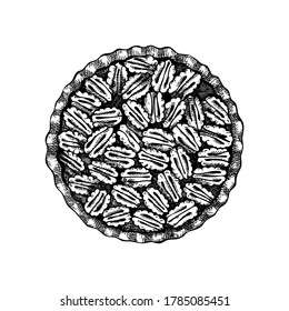 Hand sketched pecan pie illustration. Autumn food hand drawing. Traditional thanksgiving baking cake with pecan nuts top view. Vector nuts dessert isolated on white background. 